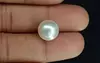 Pearl - SSP 8684 Limited - Quality 9.61- Carat