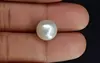 Pearl - SSP 8689 Limited - Quality 9.77- Carat
