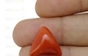 Red Coral - TC 5002 (Origin - Italy) Limited - Quality