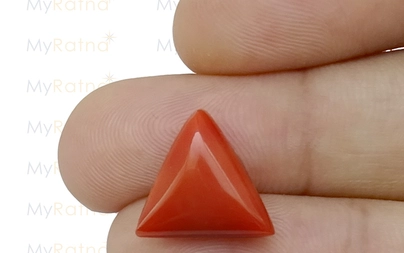 Red Coral - TC 5006 (Origin - Italy) Limited - Quality