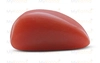 Red Coral - TC 5020 (Origin - Italy) Prime - Quality