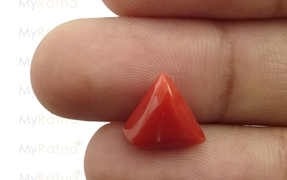 Red Coral - TC 5021 (Origin - Italy) Limited - Quality