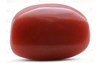 Red Coral - TC 5061 (Origin - Italy) Limited - Quality