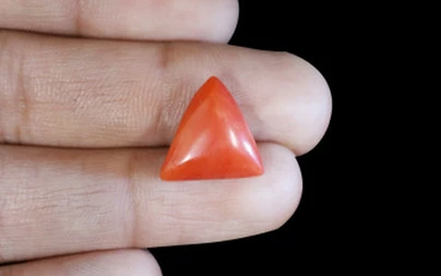 Red Coral - TC 5065 (Origin - Italy) Limited - Quality