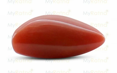 Red Coral - TC 5068 (Origin - Italy) Limited - Quality