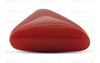 Red Coral - TC 5070 (Origin - Italy) Prime - Quality