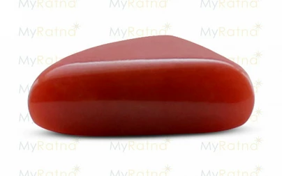 Red Coral - TC 5072 (Origin - Italy) Prime - Quality