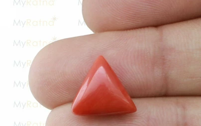Red Coral - TC 5073 (Origin - Italy) Limited - Quality