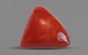 Red Coral - TC 5149 (Origin - Italy) Prime - Quality