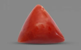 Red Coral - TC 5158 (Origin - Italy) Prime - Quality