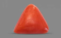 Red Coral - TC 5184 (Origin - Italy) Prime - Quality