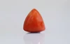 Red Coral - TC 5211 (Origin - Italy) Fine - Quality