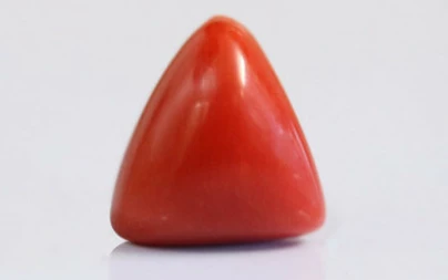 Red Coral - TC 5213 (Origin - Italy) Limited - Quality