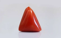 Red Coral - TC 5215 (Origin - Italy) Limited - Quality