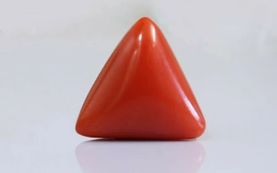 Red Coral - TC 5218 (Origin - Italy) Limited - Quality