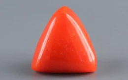 Italian Red Coral -  4.07 Carat Limited - Quality TC 5245