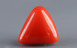 Italian Red Coral - 4.04 Carat Limited - Quality TC 5251