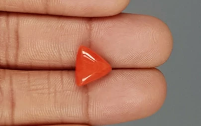Italian Red Coral - 4.18 Carat Limited - Quality TC 5253