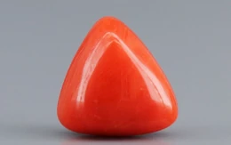 Italian Red Coral - 3.1 Carat Limited-Quality TC-5255