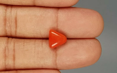 Italian Red Coral - 3.17 Carat Limited-Quality TC-5257