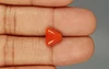 Italian Red Coral - 3.17 Carat Limited-Quality TC-5257