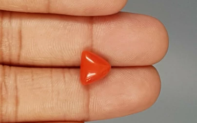 Italian Red Coral - 3.66 Carat Limited-Quality TC-5260