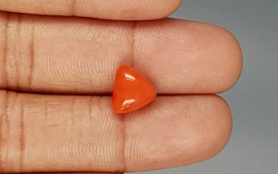 Italian Red Coral - 3.9 Carat Limited-Quality TC-5269