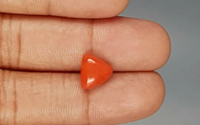 Italian Red Coral - 3.54 Carat Limited-Quality TC-5270