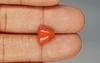 Italian Red Coral - 3.82 Carat Limited-Quality TC-5272