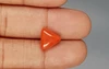 Italian Red Coral - 3.92 Carat Limited-Quality TC-5275