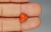 Italian Red Coral - 3.6 Carat Limited-Quality TC-5277