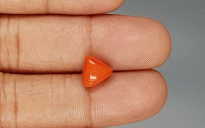 Italian Red Coral - 3.5 Carat Limited-Quality TC-5278