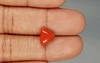 Italian Red Coral - 3.62 Carat Limited-Quality TC-5286