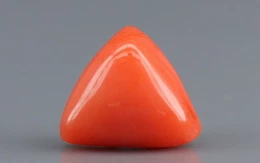 Italian Red Coral - 3.11 Carat Limited-Quality TC-5287