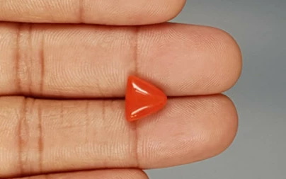 Italian Red Coral - 3.27 Carat Limited-Quality TC-5289
