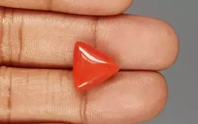 Italian Red Coral - 7.52 Carat Limited-Quality TC-5292
