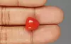 Italian Red Coral - 7.66 Carat Limited-Quality TC-5293