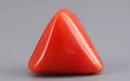 Italian Red Coral - 6.75 Carat Limited-Quality TC-5303