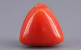 Italian Red Coral - 6.95 Carat Limited-Quality TC-5304