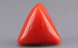 Italian Red Coral - 7.94 Carat Limited-Quality TC-5306