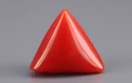 Italian Red Coral - 6.03 Carat Limited-Quality TC-5314