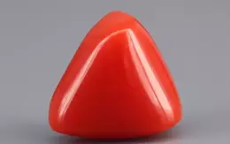 Italian Red Coral - 6.17 Carat Limited-Quality TC-5315