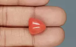 Italian Red Coral - 9.47 Carat Limited-Quality TC-5318