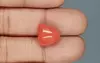 Italian Red Coral - 9.47 Carat Limited-Quality TC-5318