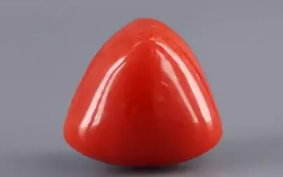 Italian Red Coral - 16.59 Carat Limited-Quality TC-5323