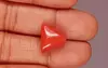 Italian Red Coral - 11.37 Carat Limited-Quality TC-5326