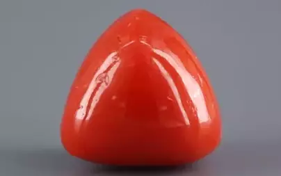 Italian Red Coral - 16.12 Carat Limited-Quality TC-5327