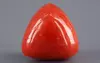Italian Red Coral - 16.12 Carat Limited-Quality TC-5327