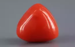 Italian Red Coral - 8.86 Carat Limited-Quality TC-5328