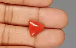Italian Red Coral - 5.50 Carat Limited-Quality TC-5339